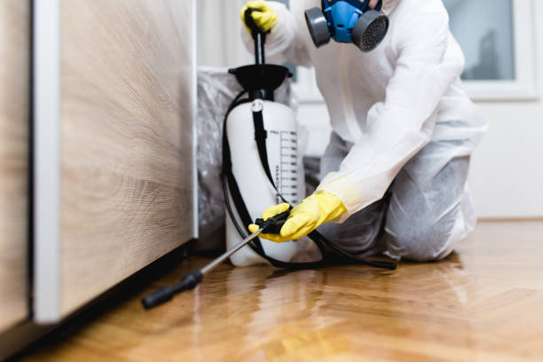Best Affordable Pest Control Services  in Williams, CA