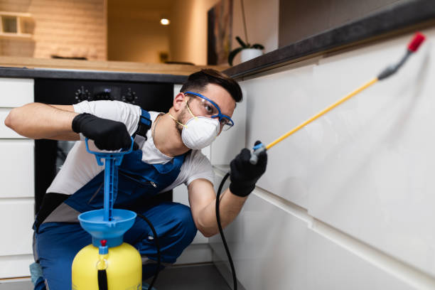 Best Emergency Pest Control  in Williams, CA
