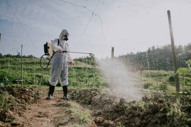 Best Ant Control Services  in Williams, CA