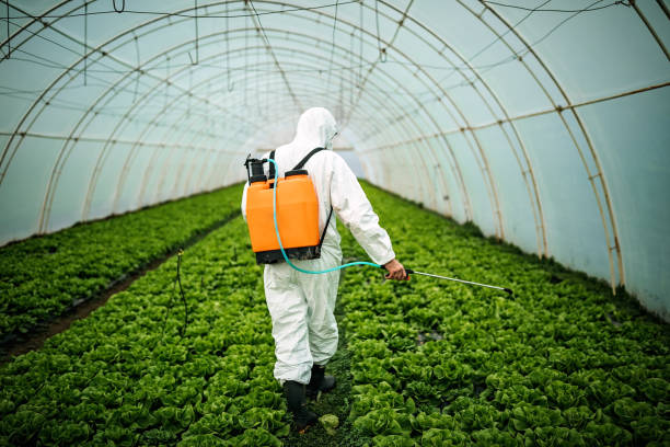Best Local Pest Control Services  in Williams, CA
