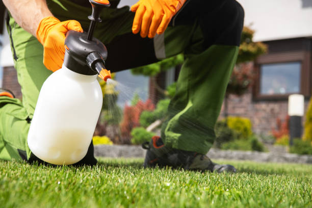 Best Best Pest Control Companies  in Williams, CA