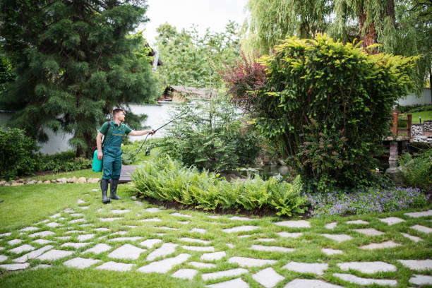 Best Pest Prevention Services  in Williams, CA