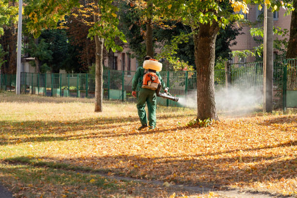 Best Residential Pest Control  in Williams, CA