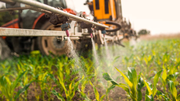 Best Mosquito Control Services  in Williams, CA